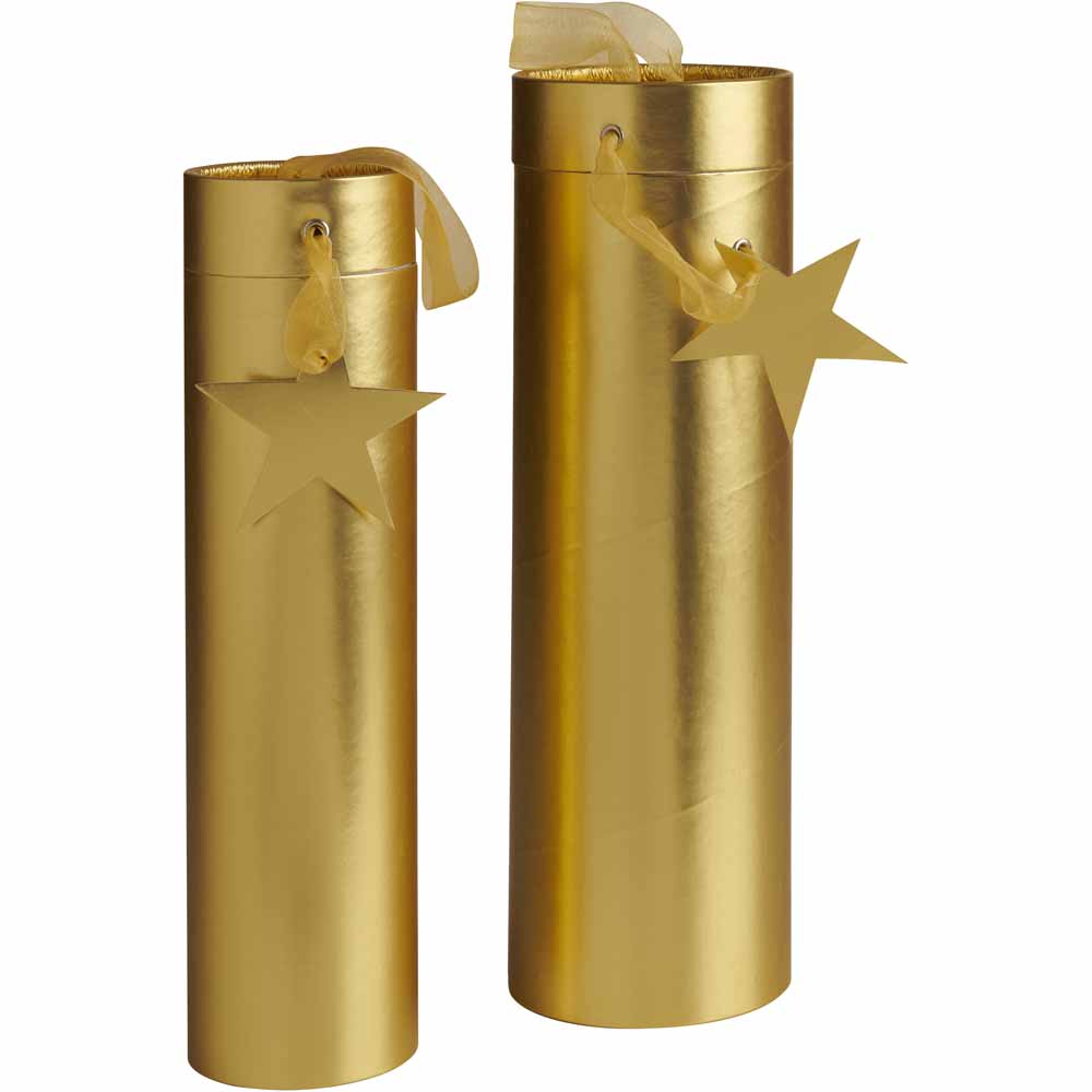 Wilko Twin Pack Bottle Tube Wilko