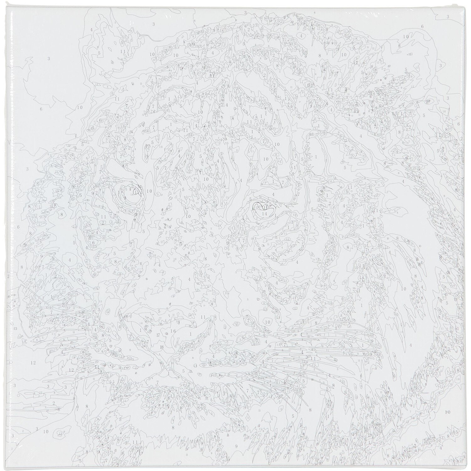 Art Studio Paint by Numbers - White Tiger Image 2
