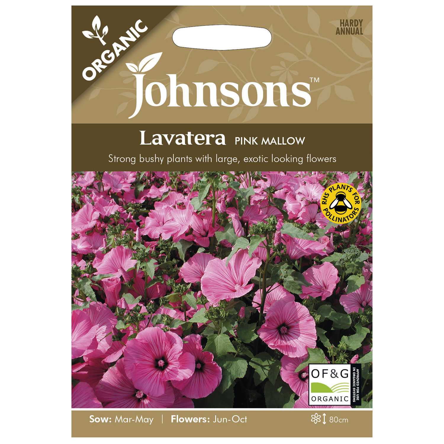 Johnsons Lavatera Pink Mallow Image 1