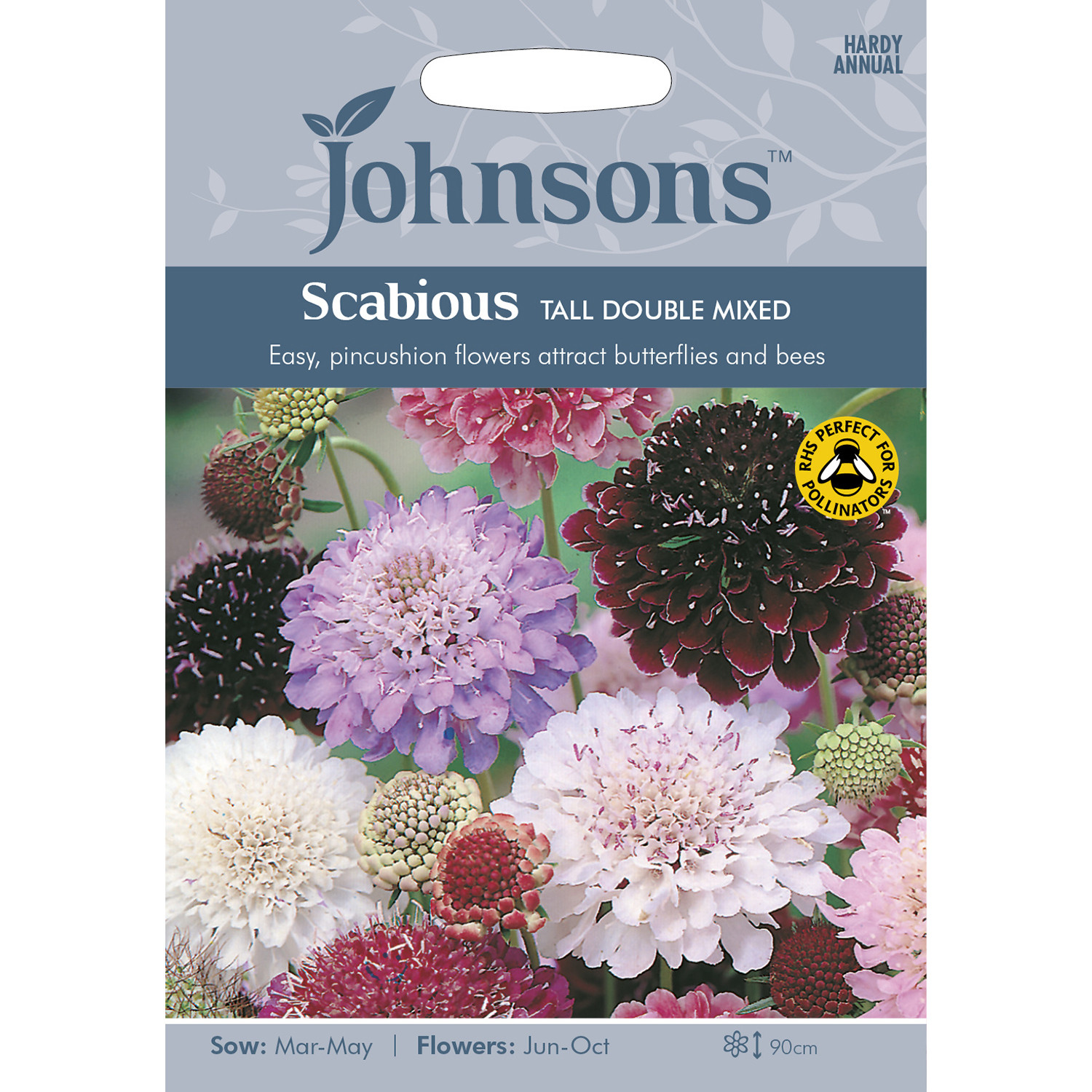 Johnsons Scabious Tall Double Mixed Flower Seeds Image 2