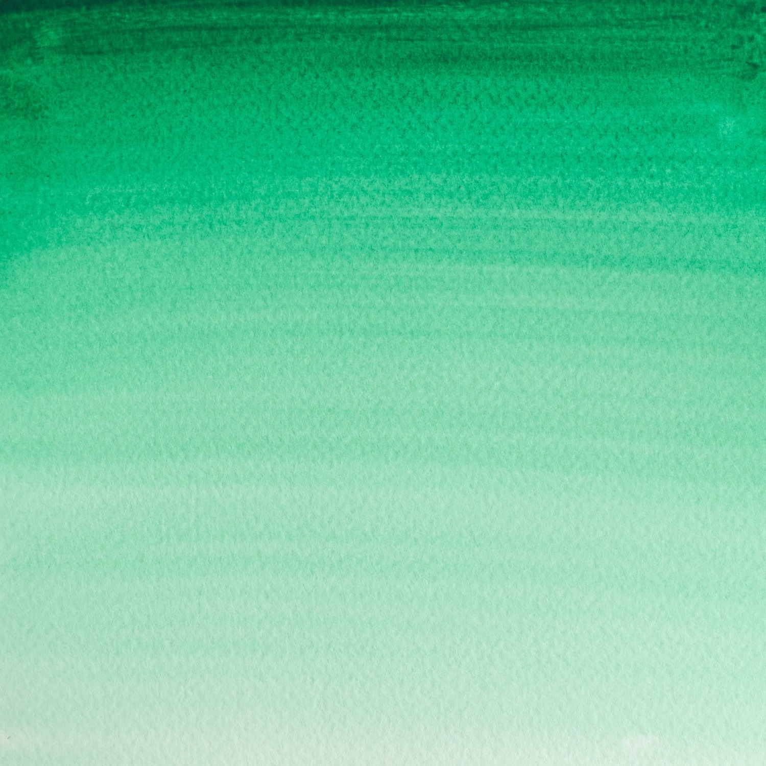 Winsor and Newton Cotman Watercolour Paint - Intense Green Image 2