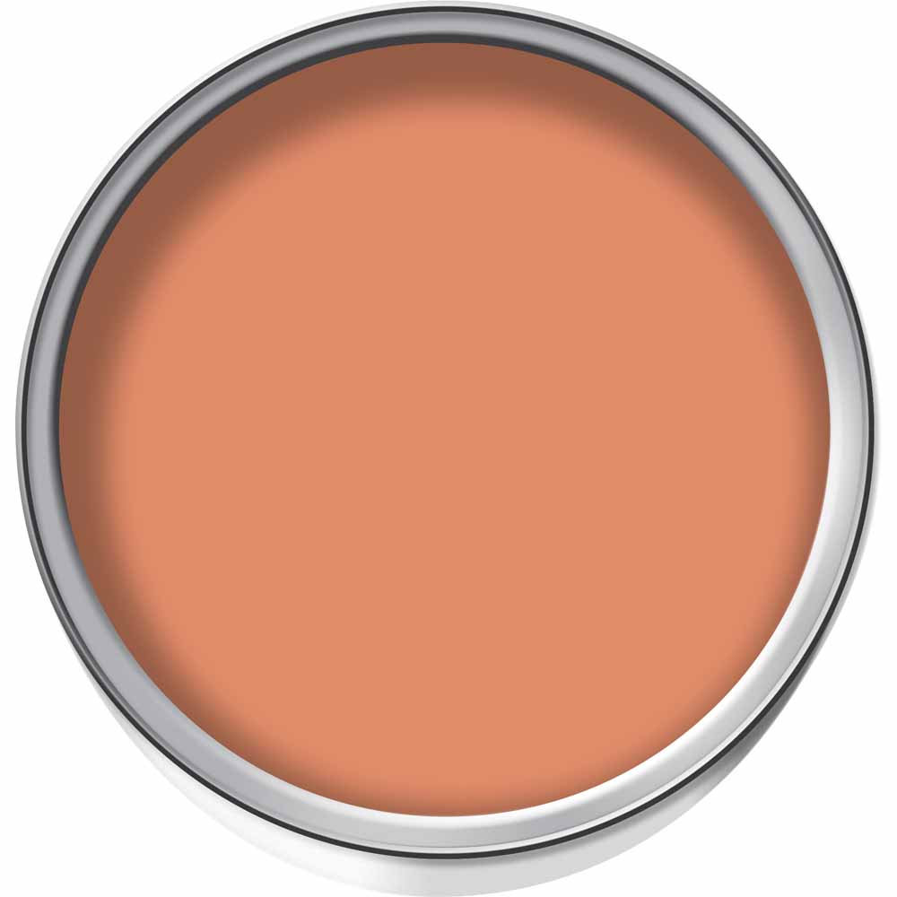 Wilko Jelly Bean Emulsion Paint Tester Pot 75ml Image 2