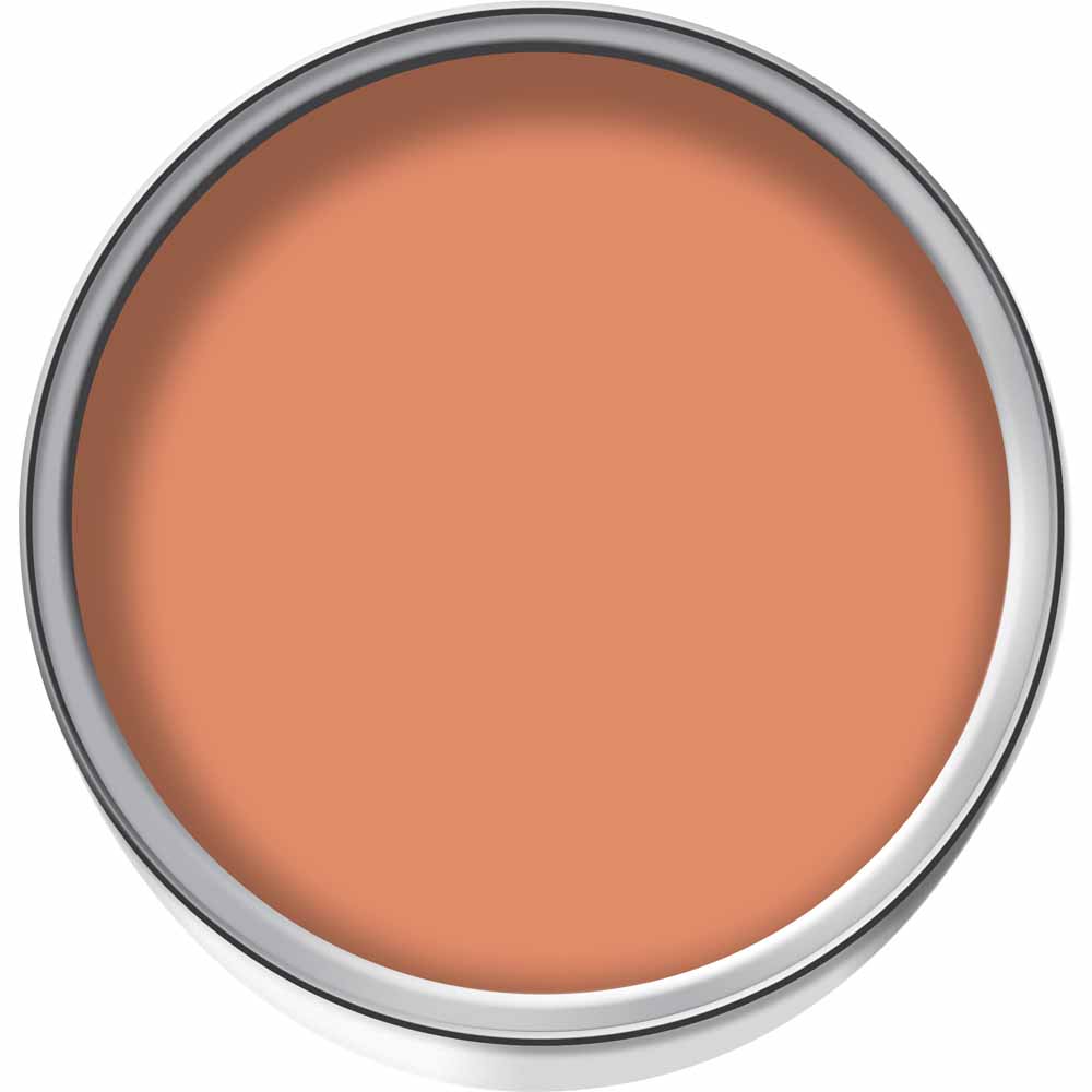 Wilko Tester Pot Jelly Bean Emulsion Paint 75ml Image 2