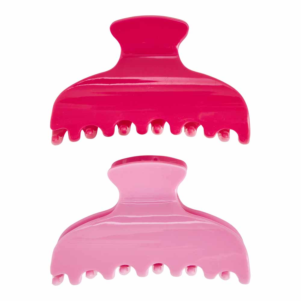 Bright Hair Claw Small 2 Pack Image 1