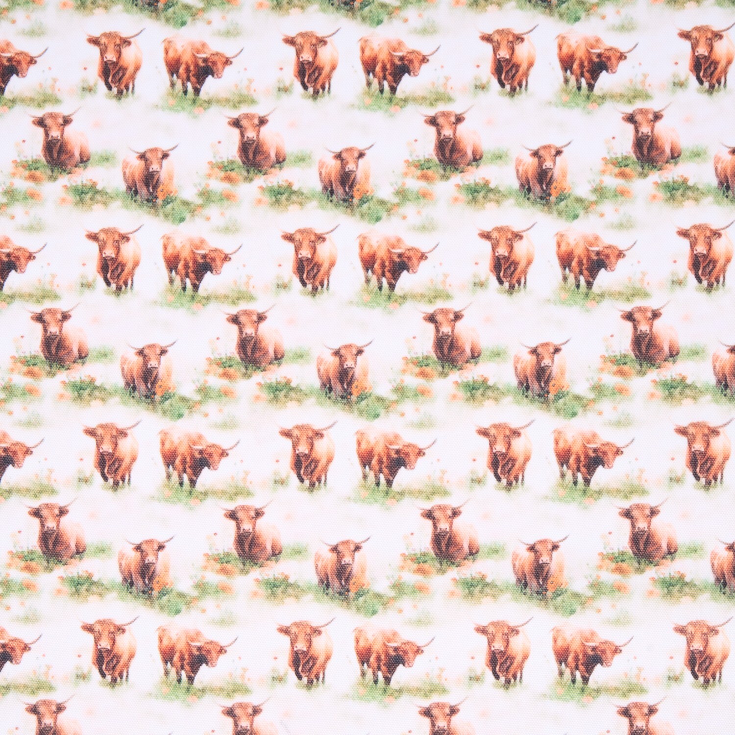 Highland Cow Fabric Roll Image 2