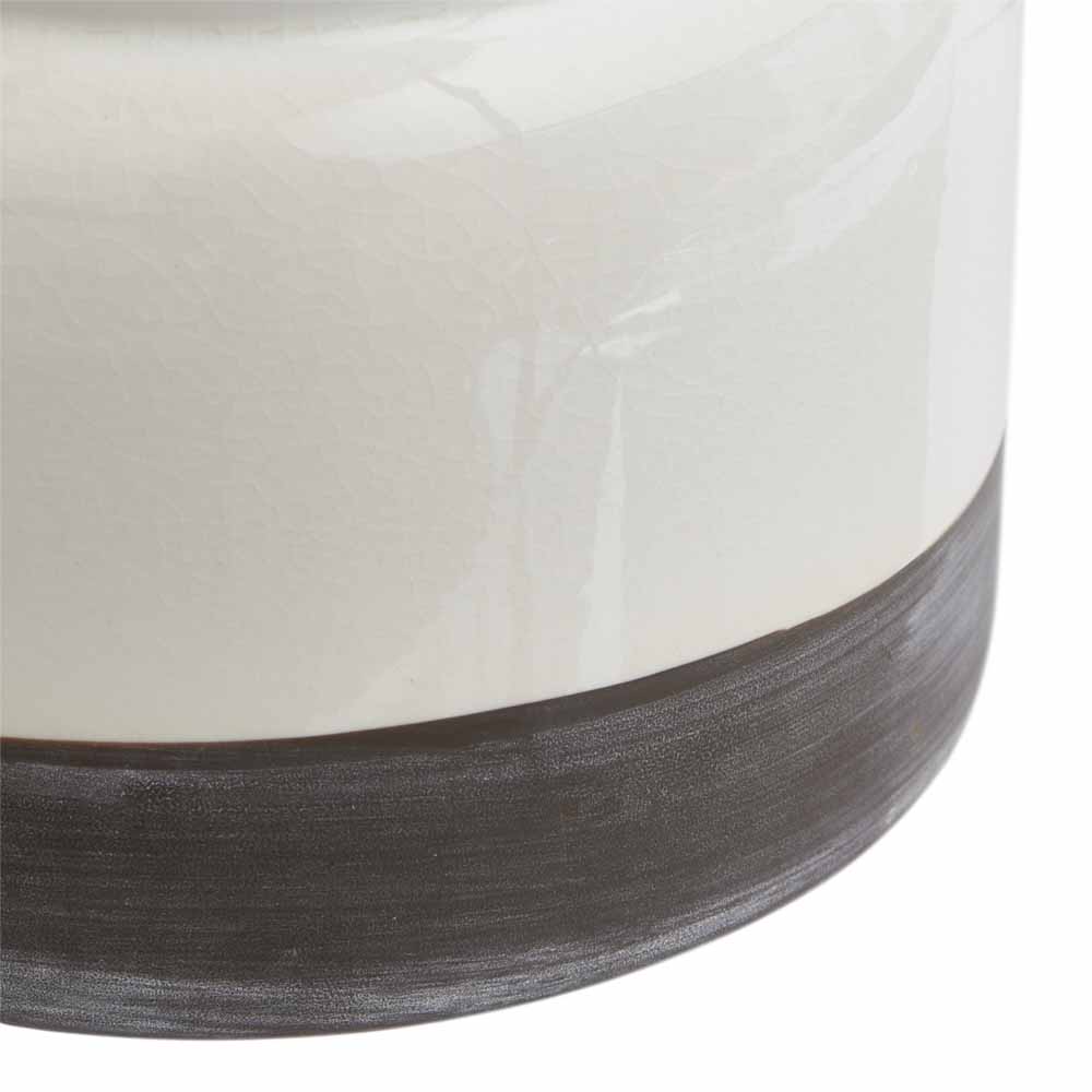 Wilko Multi Succulent in Ceramic Pot Wilko