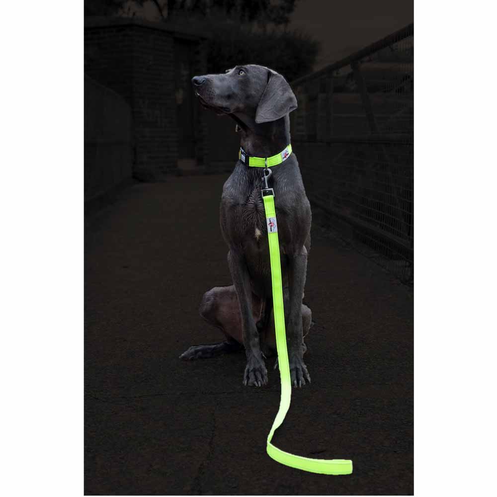 Long Paws Reflective Webbing Dog Leash Image 7