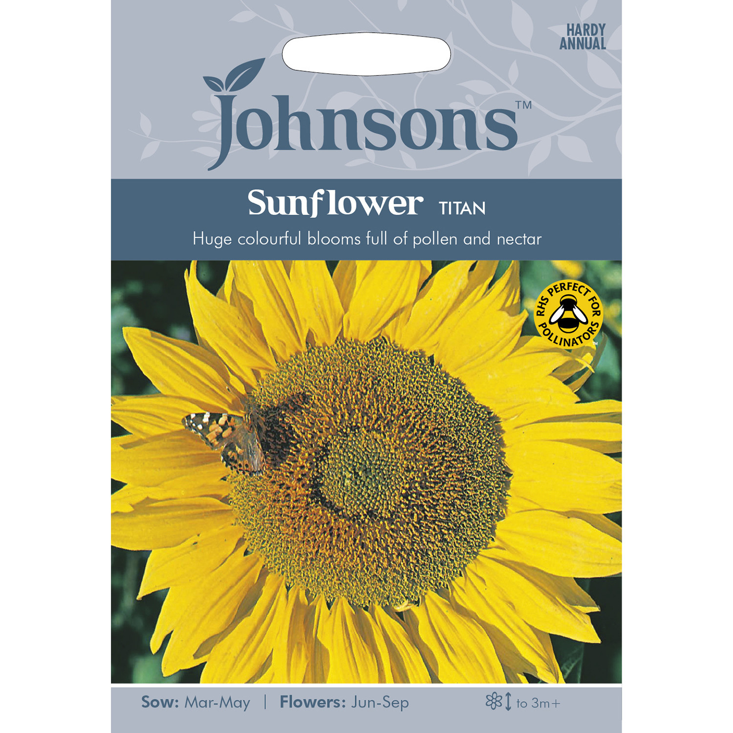 Pack of Titan Sunflower Seeds Image 1