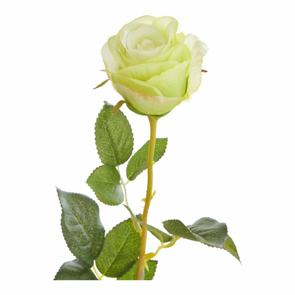 Wilko Single Stem Rose Green Image 1