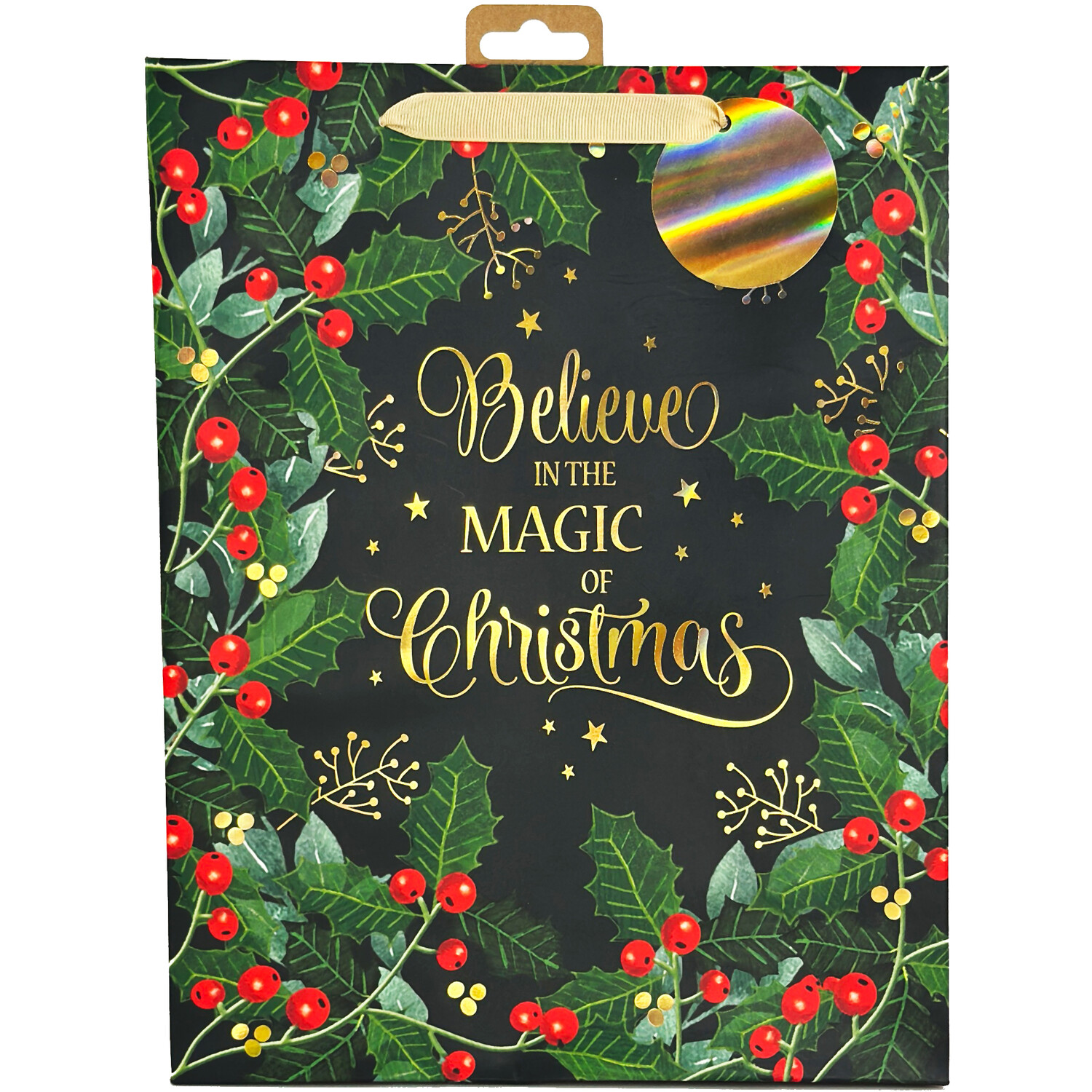 Magic of Christmas Gift Bag Multicolour Large Image 1