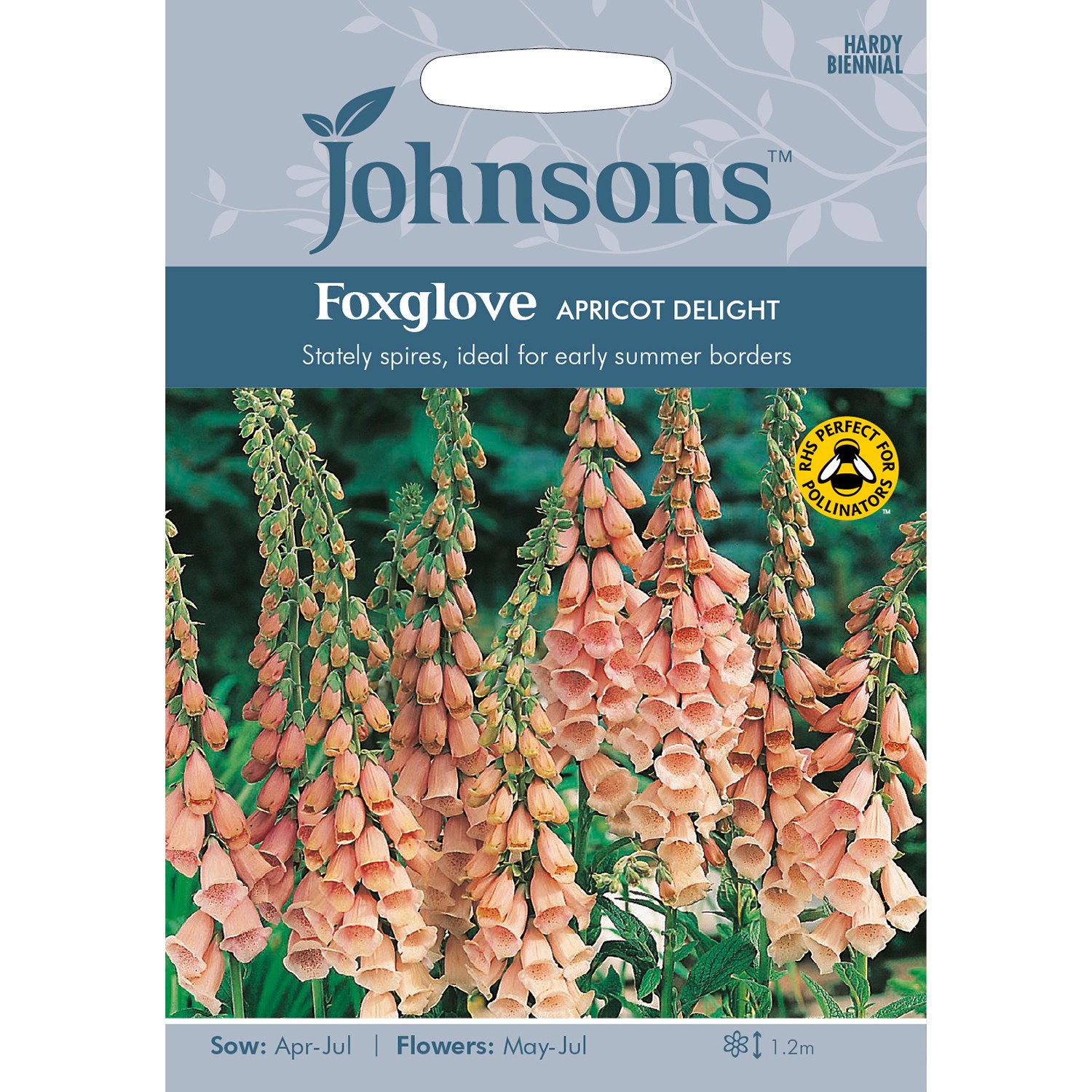 Johnsons Foxglove Apricot Delight Flower Seeds Image 2