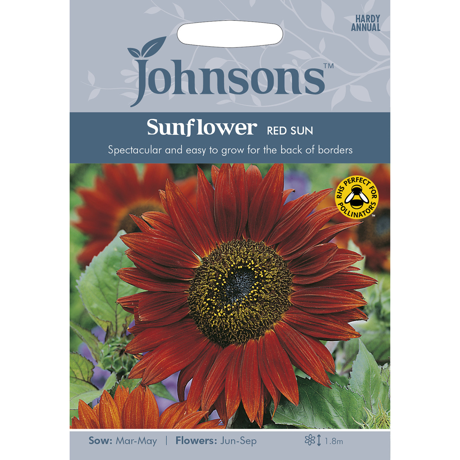 Pack of Red Sun Sunflower Seeds Image 1