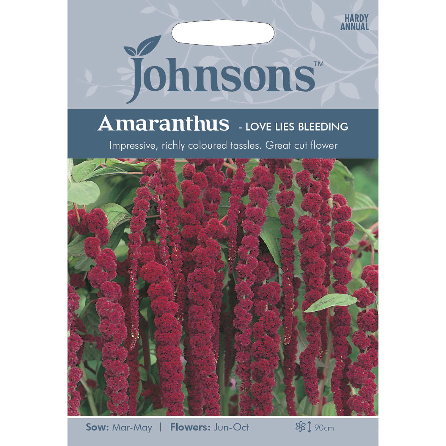 Johnsons Amaranthus Love Lies Bleeding Flower Seeds Image 2