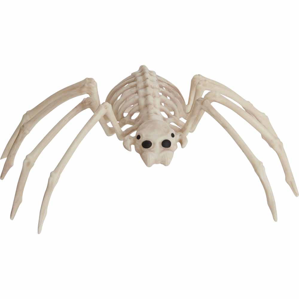 Wilko Skeleton Spider Image 3