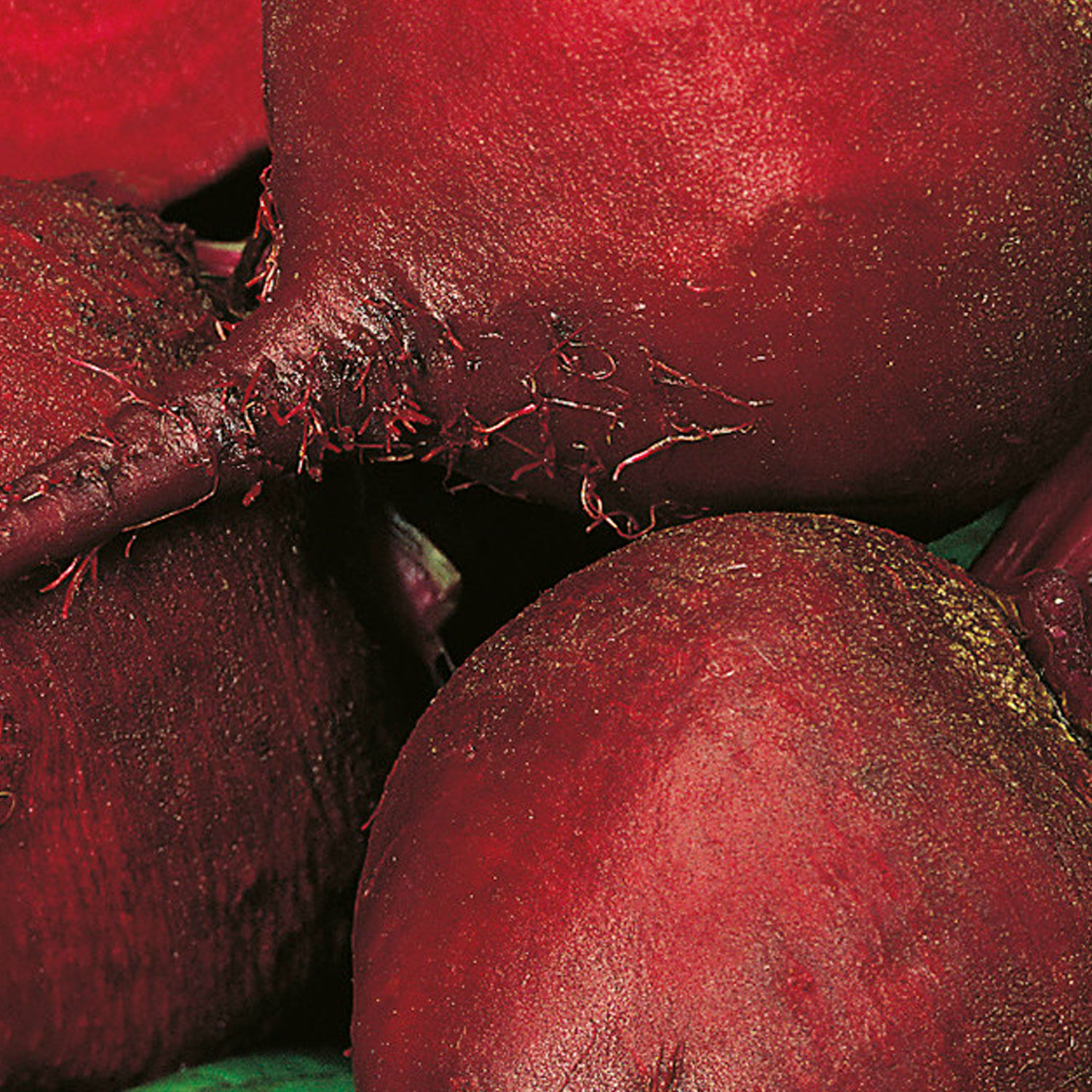 Johnsons Organic Detroit Beetroot Seeds Image 1