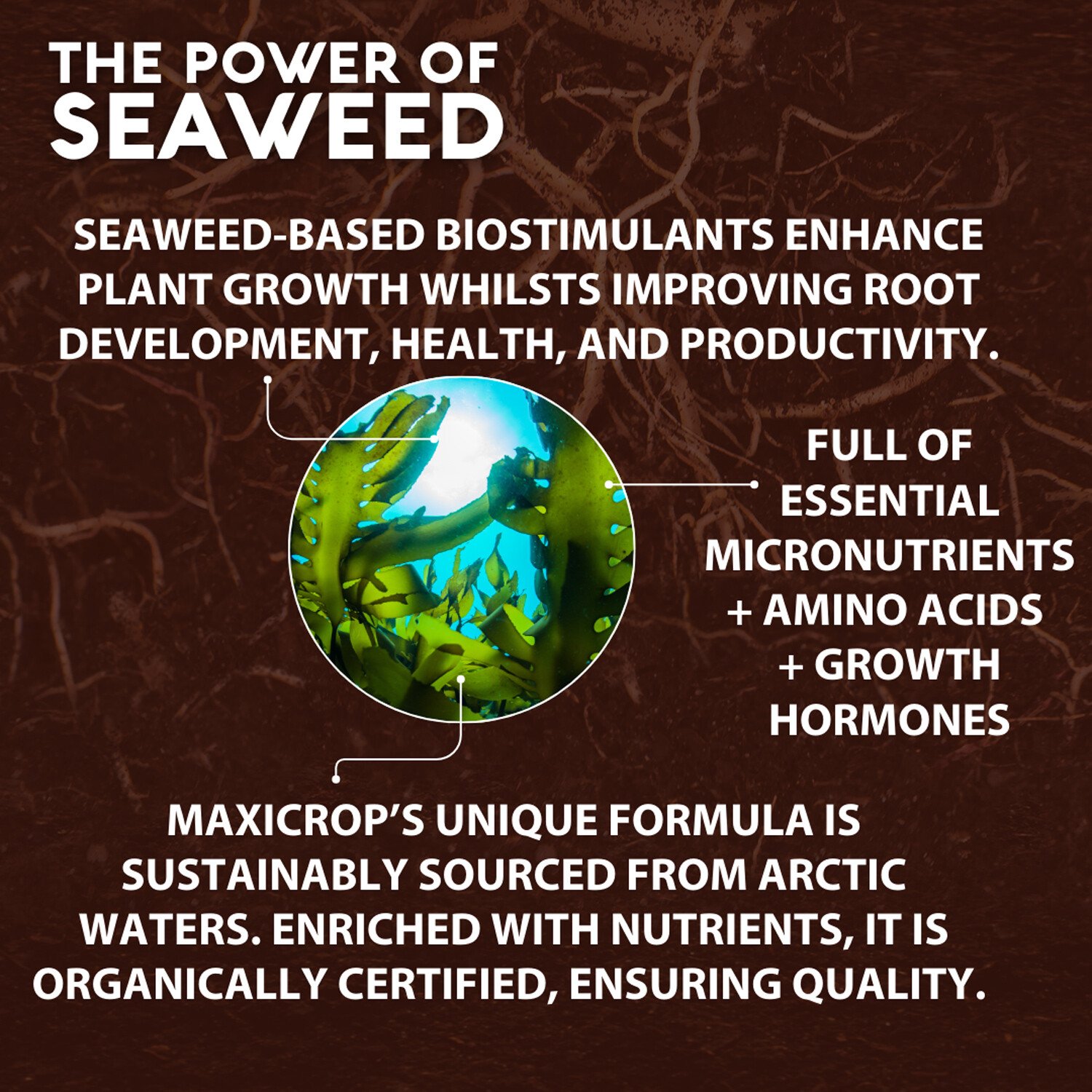 Maxicrop Growth Stimulant and Sequestered Iron 500ml - Brown Image 3