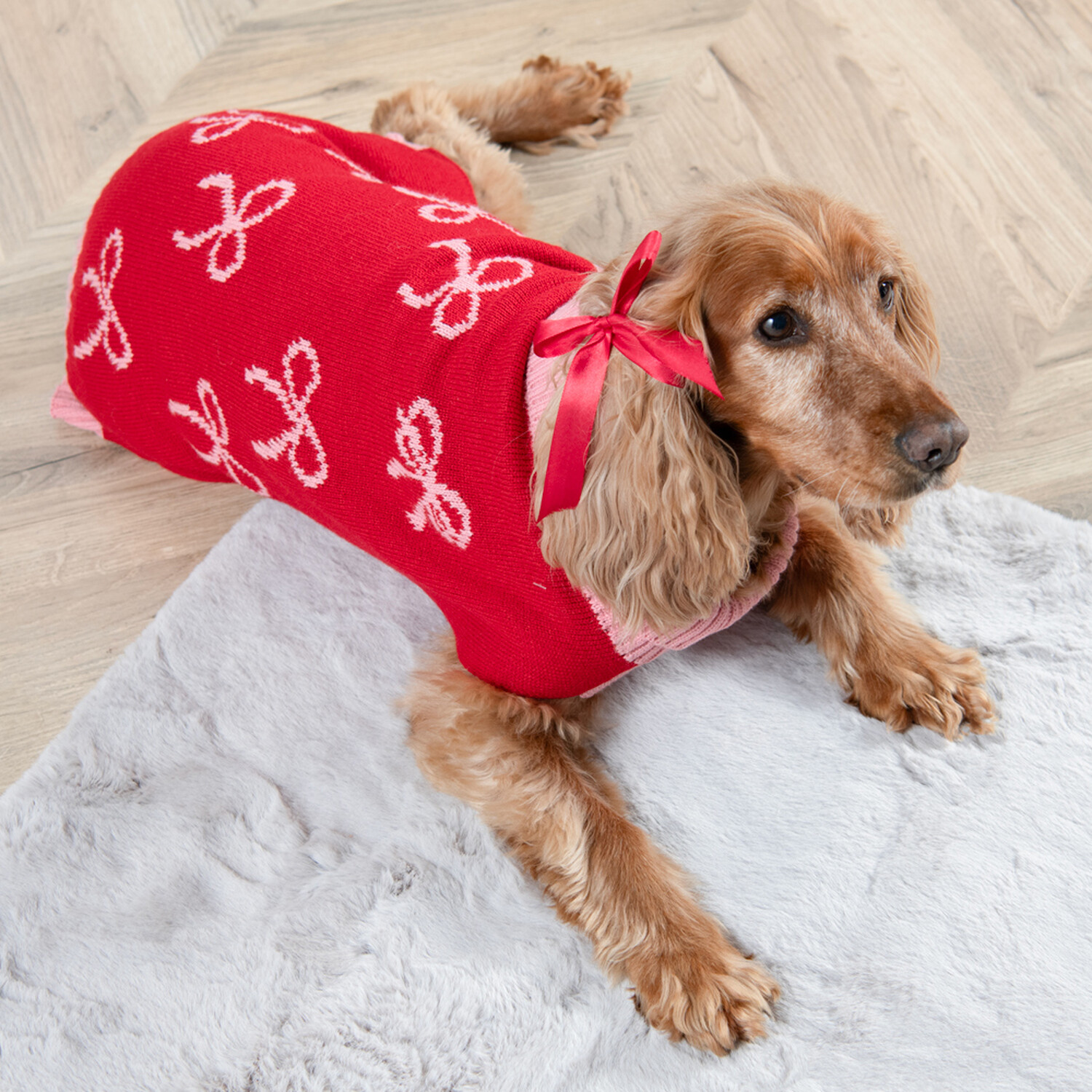 Winter Bow Dog Jumper Red XS Image 2
