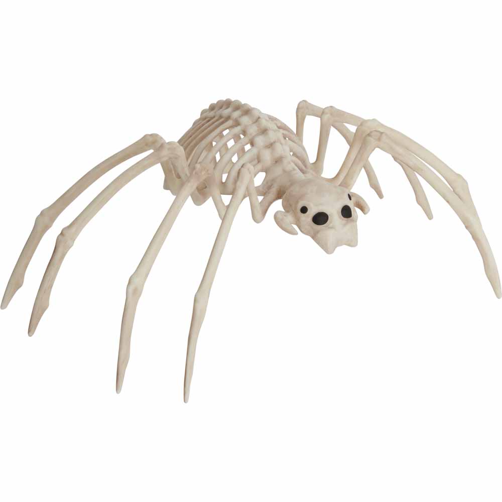 Wilko Skeleton Spider Image 2