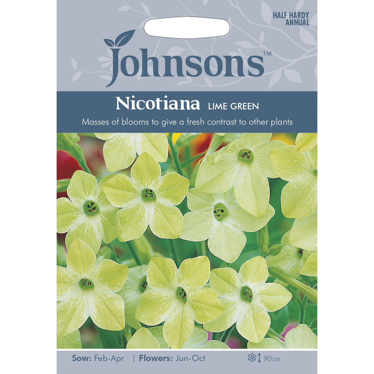 Johnsons Nicotiana Lime Green Flower Seeds Image 2