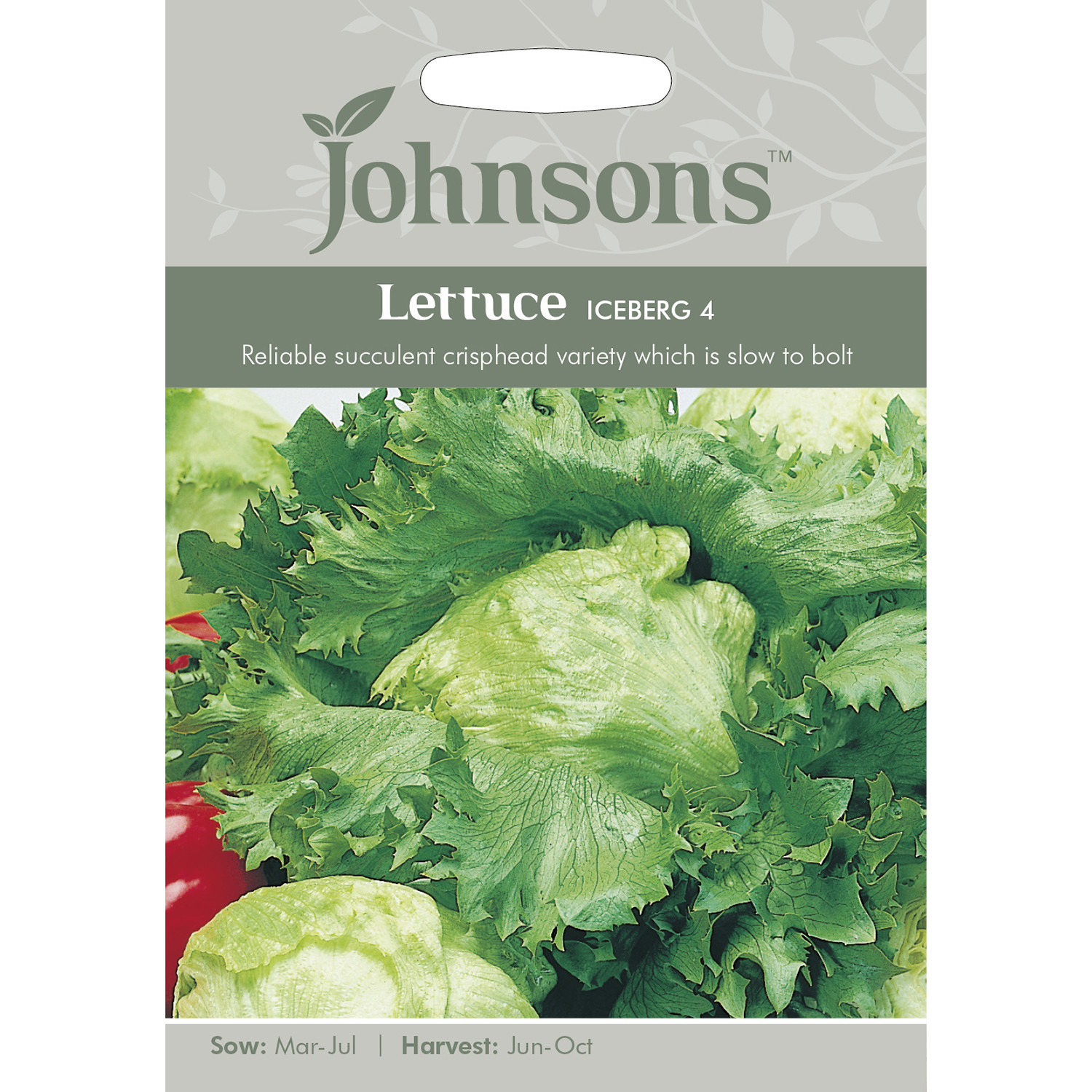 Johnsons Iceberg 4 Lettuce Seeds Image 2