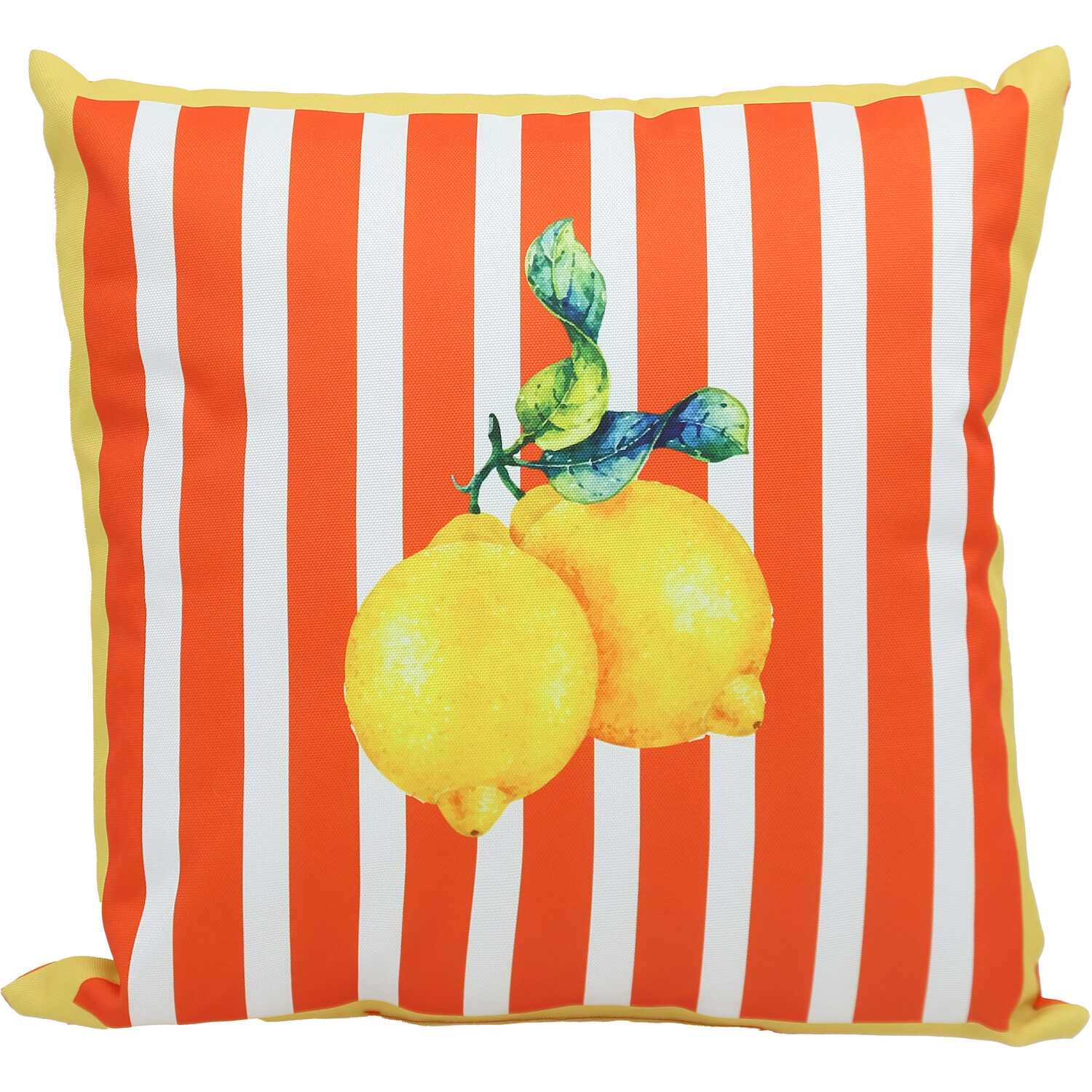 Pack of 4 Sun Days Outdoor Cushions Image 9