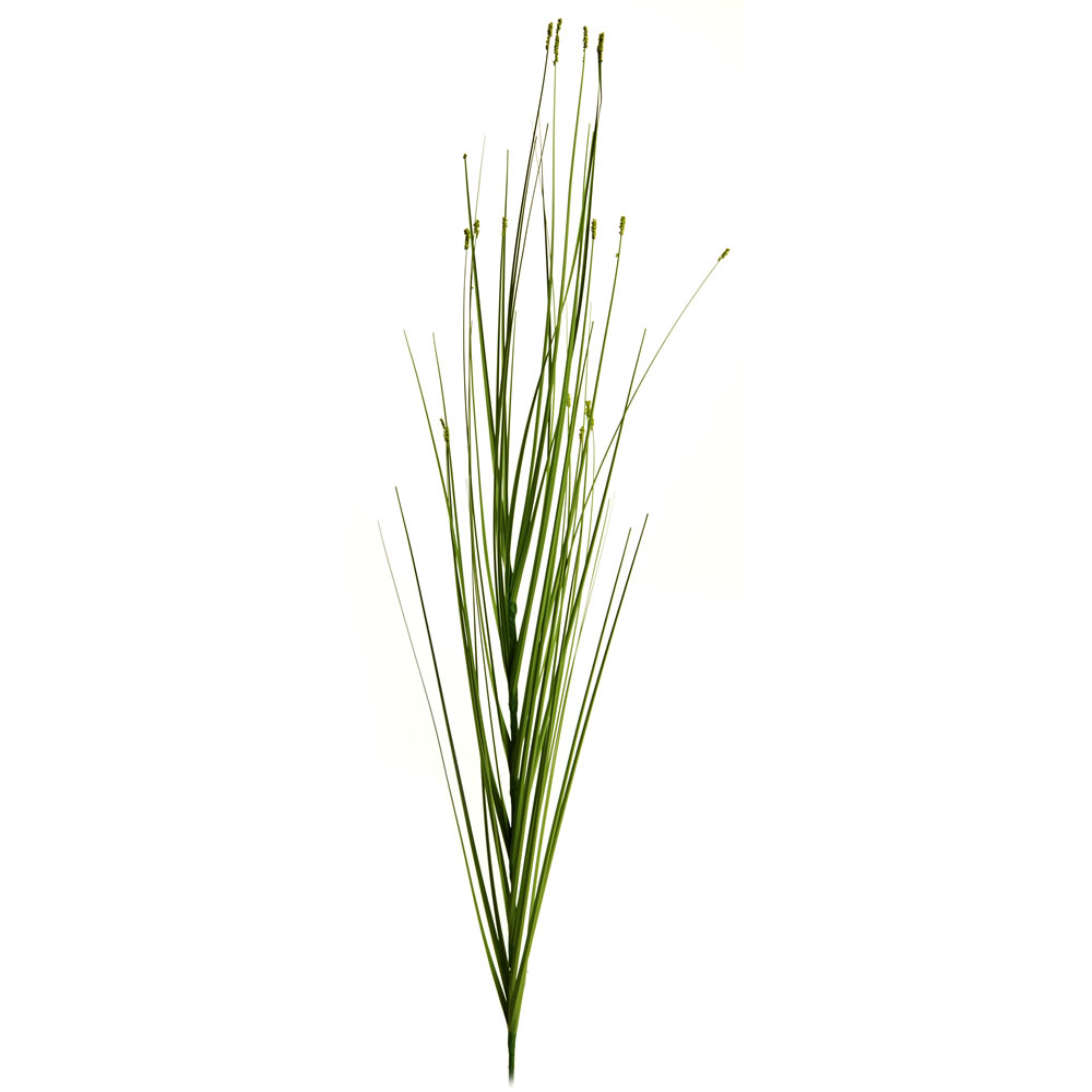 Wilko Green Multi Stem Artificial Dried Grass Image