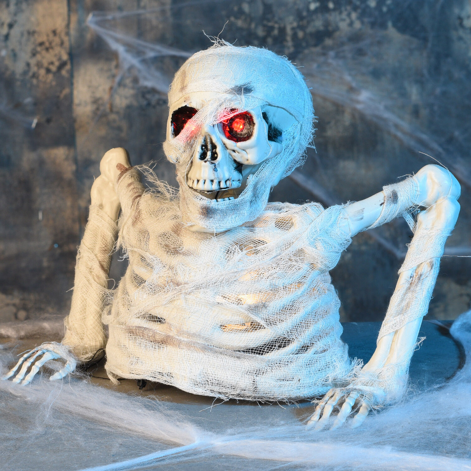 Skeleton Mummy White Image 2