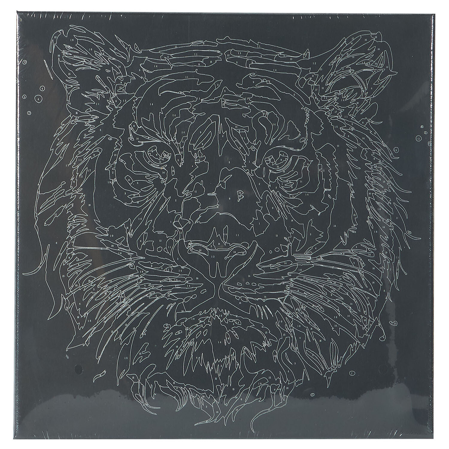 Paint By Numbers Tiger Black Canvas - Black Image 3