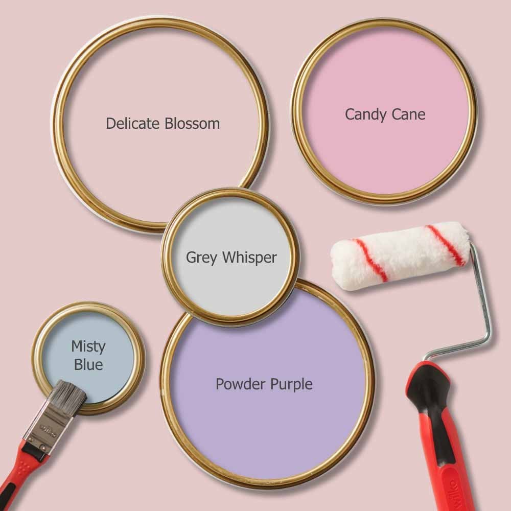 Wilko Tough & Washable Delicate Blossom Matt Emulsion Paint 2.5L Image 7