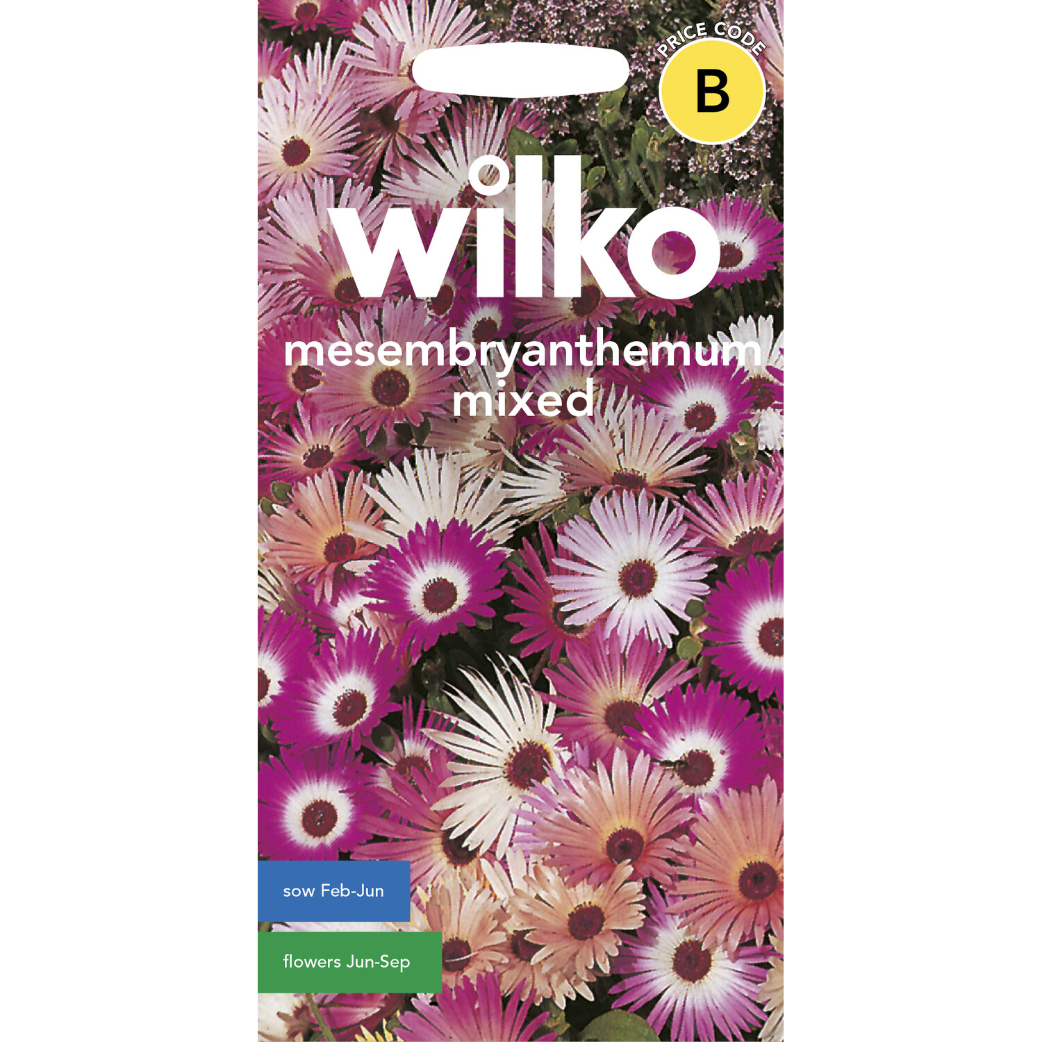 Wilko Mesembryanthemum Mix Seeds Image 1