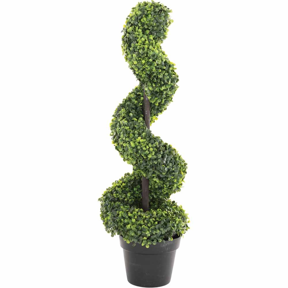 Boxwood Topiary Spiral Tree Image 1