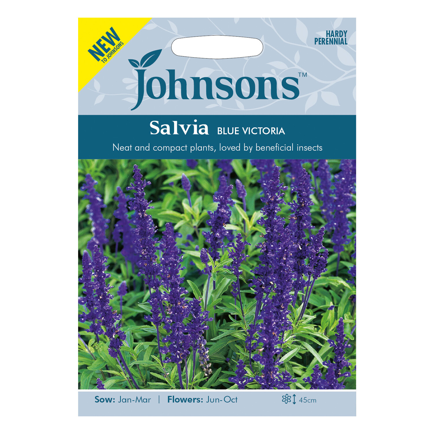 Johnsons Salvia Victoria Blue Flower Seeds Image 2
