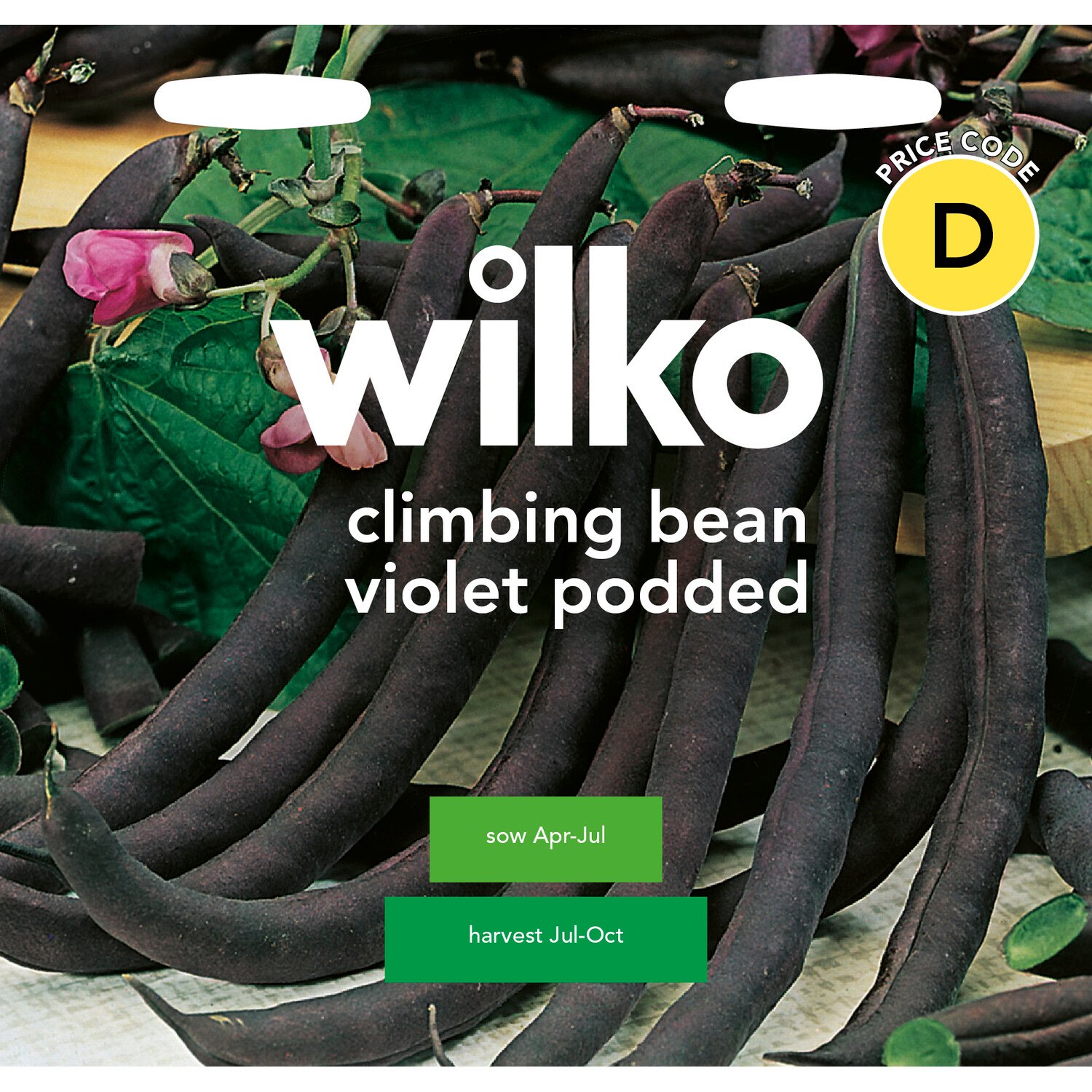 Climbing Bean Violet Podded Seeds Voilet Image 1