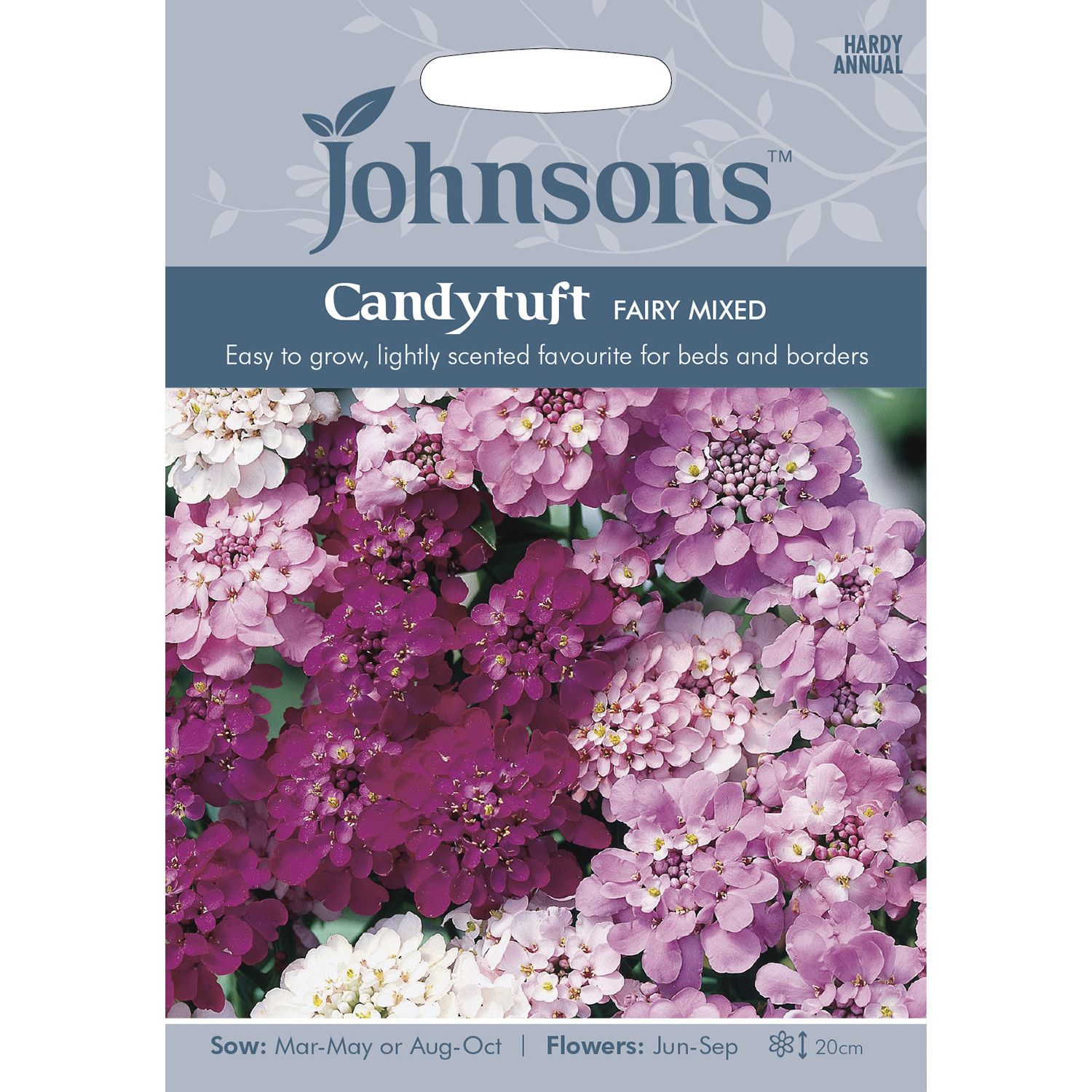 Johnsons Candytuft Fairy Mixed Flower Seeds Image 2