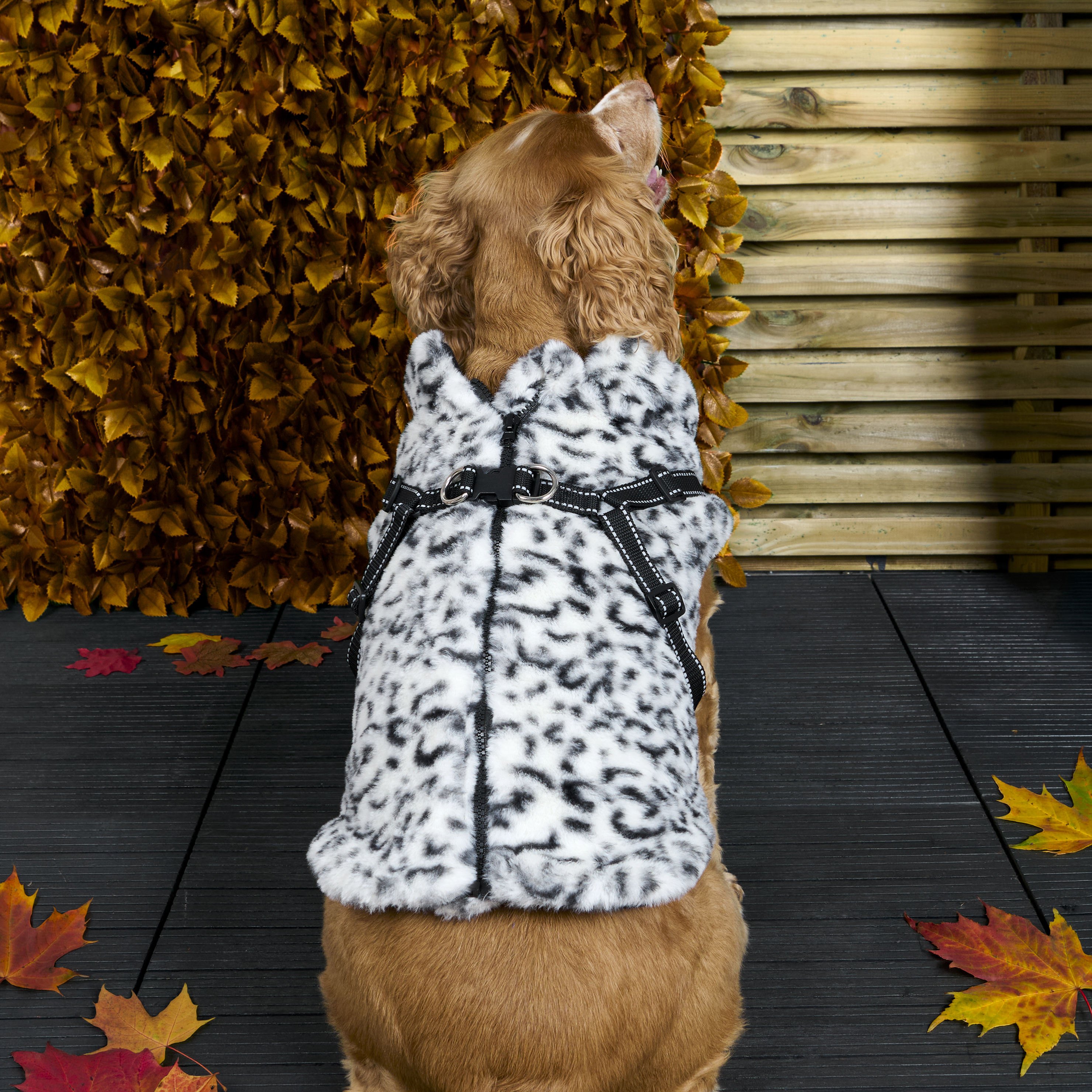 Fluffy Harness Dog Coat XS Image 4
