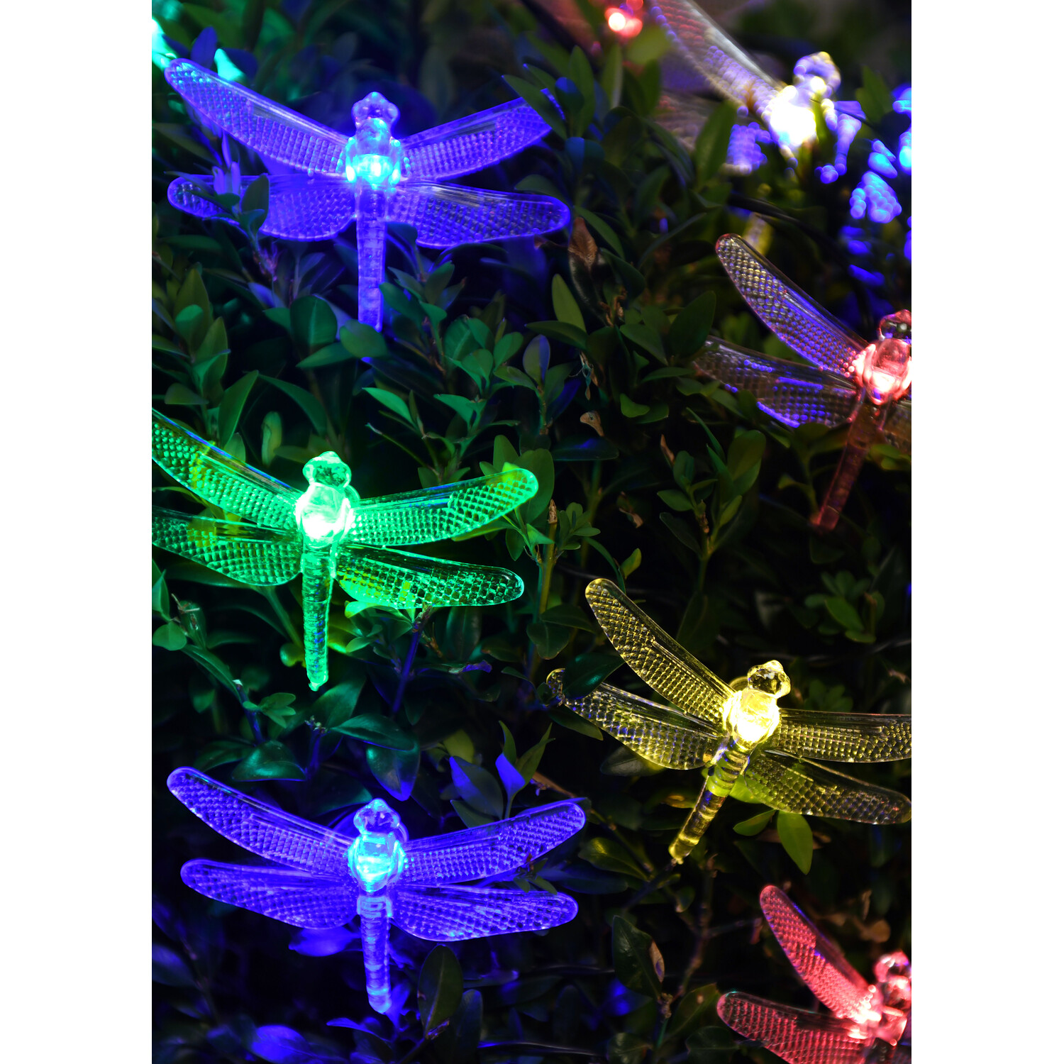 Single 30 LED Multicolour Solar String Light in Assorted styles Image 2