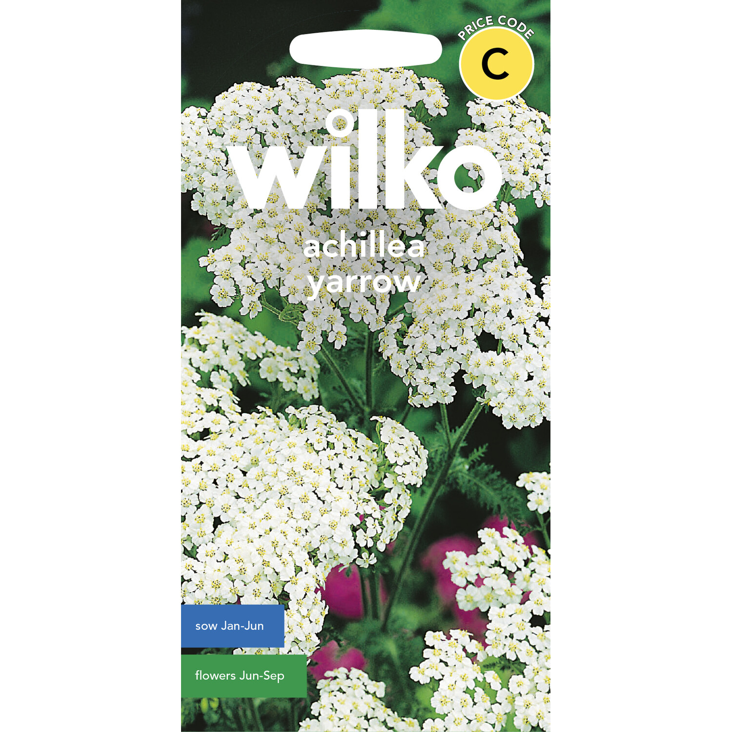 Wilko Achillea Yarrow Seeds Image 1