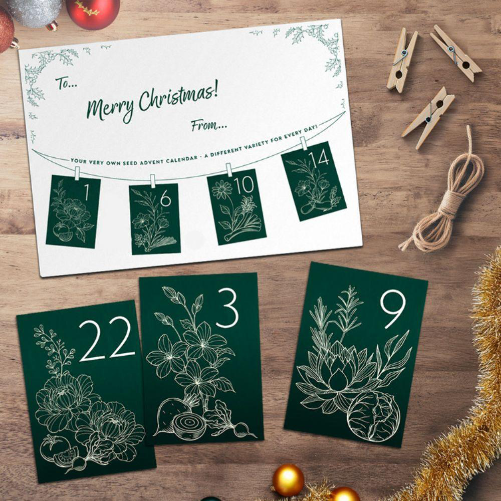 Thompson and Morgan Christmas Gift Flowers Seed Christmas Gift Advent Calendar Kit Image 4