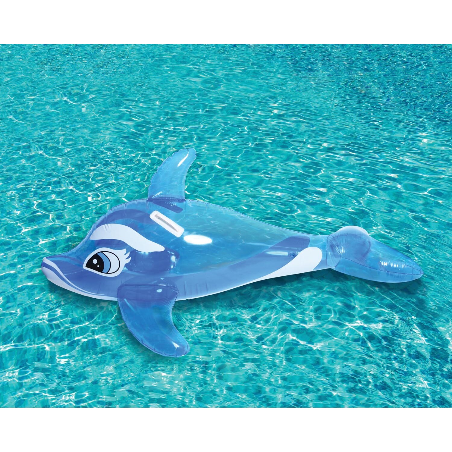 Dolphin Pool Rider Image 2
