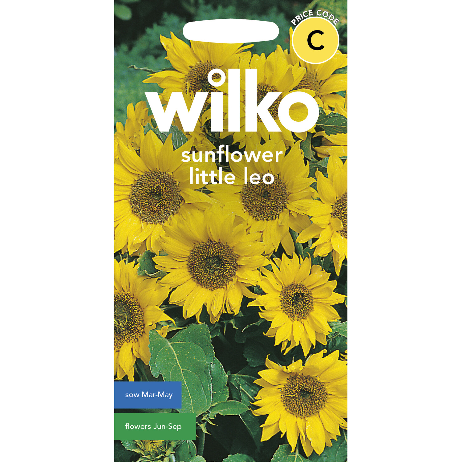Wilko Sunflower Little Leo Flower Seeds Image 1