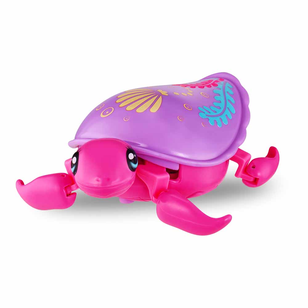 Little Live Turtle Wilko