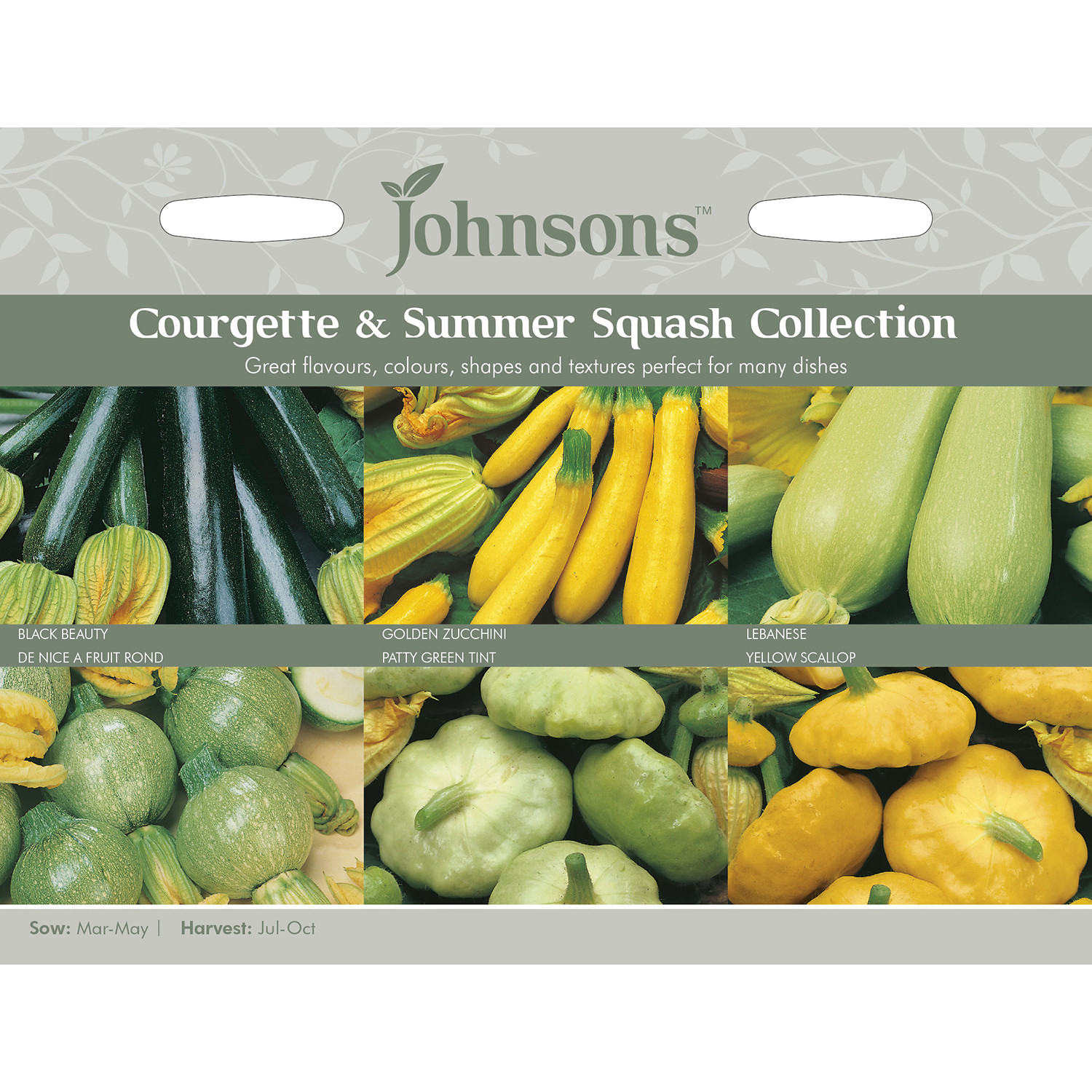 Courgette Summer Squash Collection Image 1