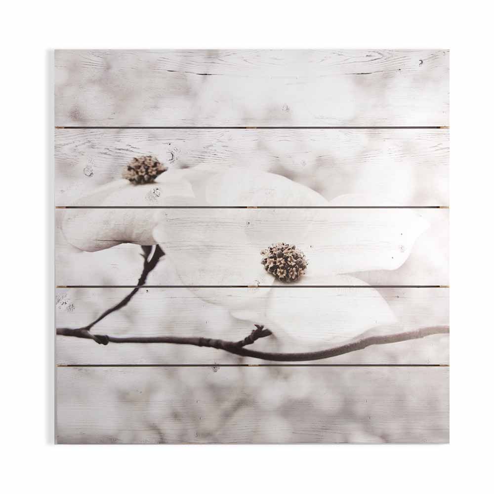 Art For The Home Serenity Blossoms 60 x 60cm Image 1