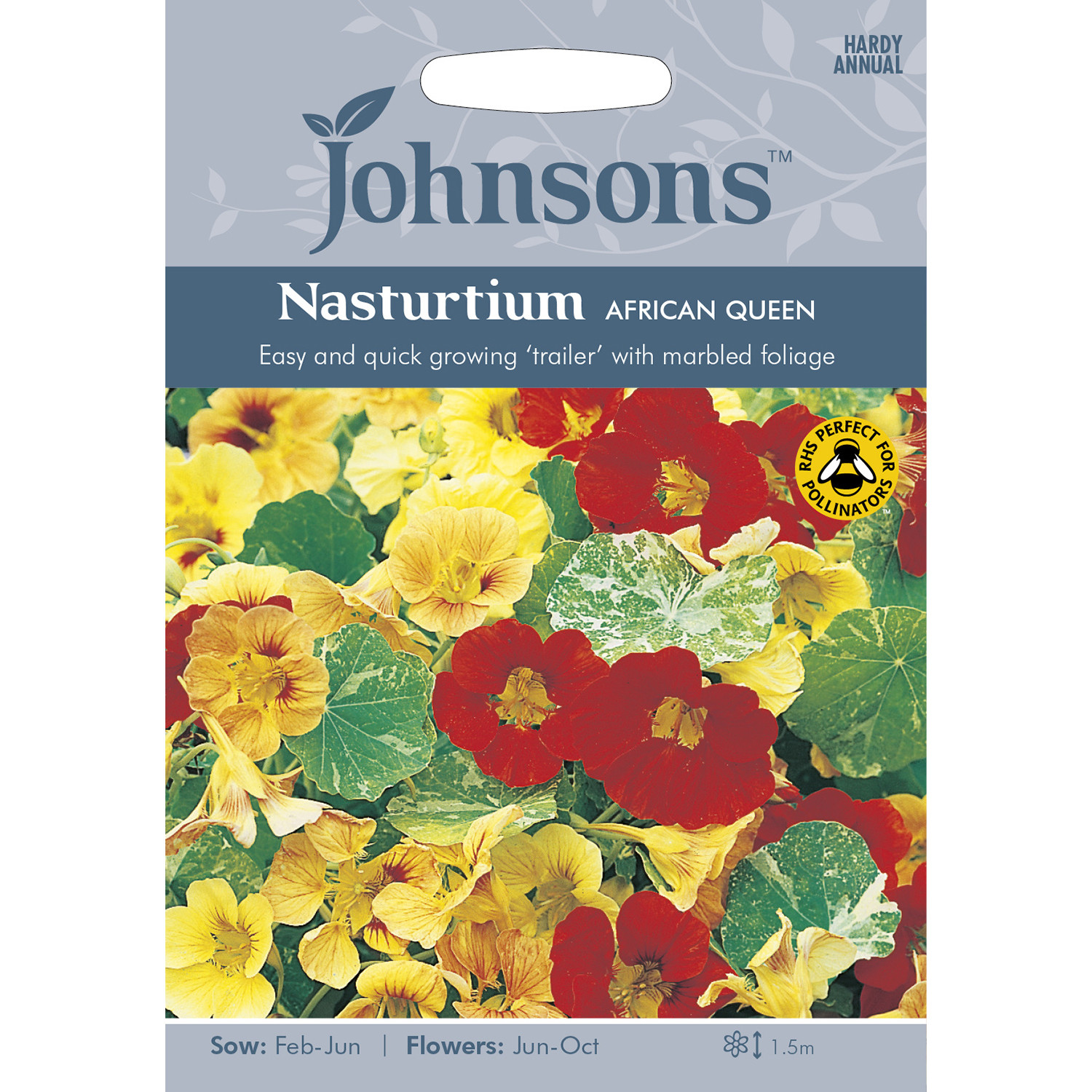 Johnsons Nasturtium African Queen Flower Seeds Image 2