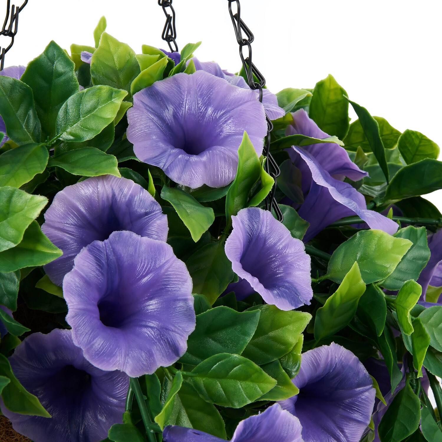 Petunias Hanging Basket - Purple Image 3