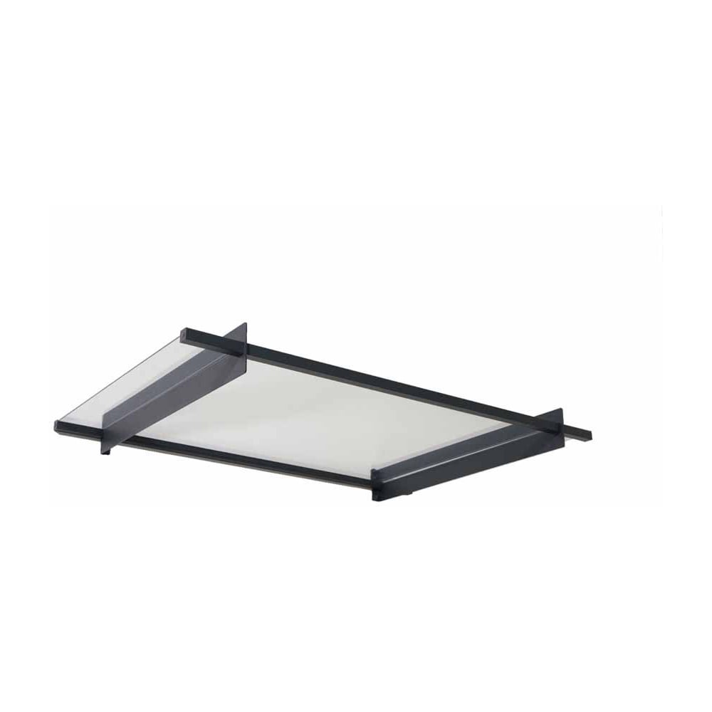 Palram Nancy 1500 Clear Door Canopy Image 2