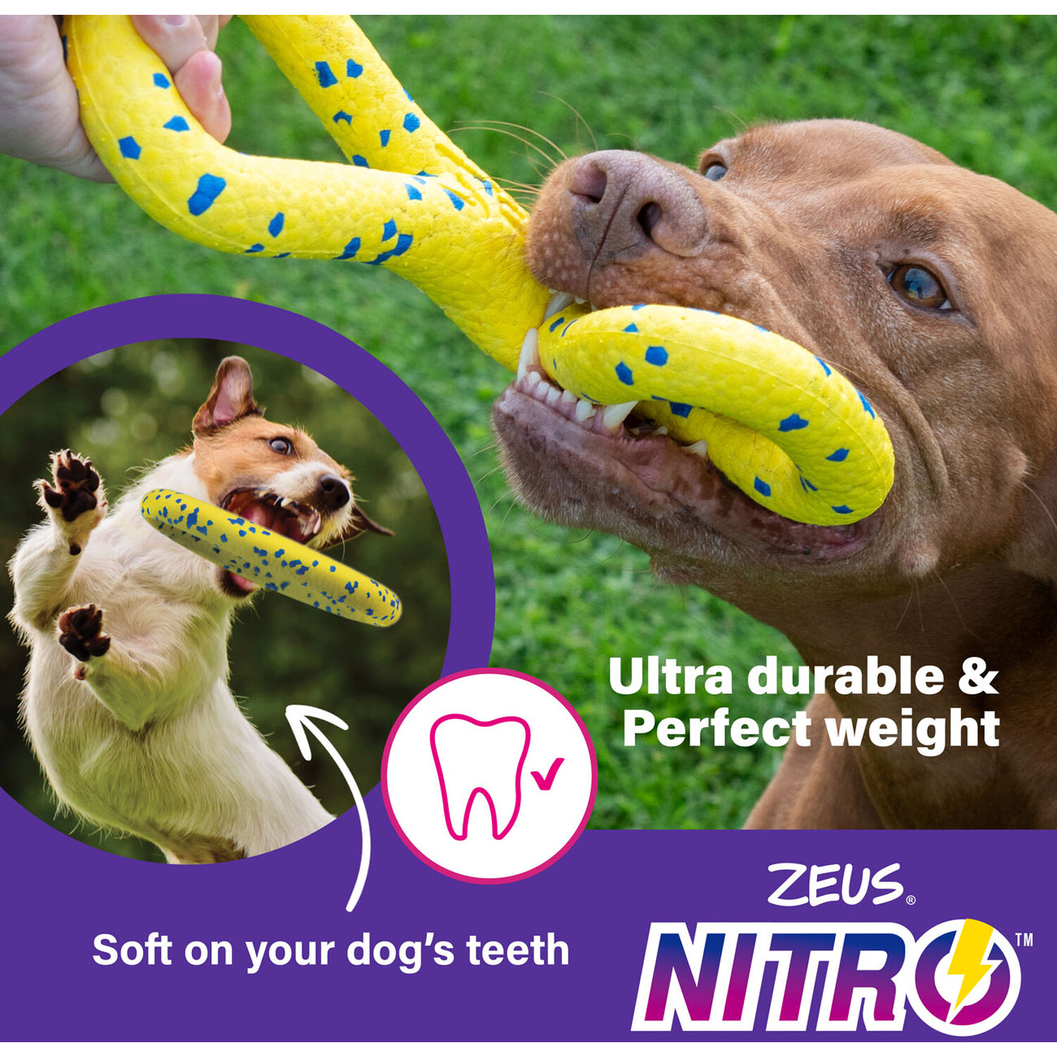 Zeus Nitro Weighted Grip Ball Dog Toy Yellow Image 5
