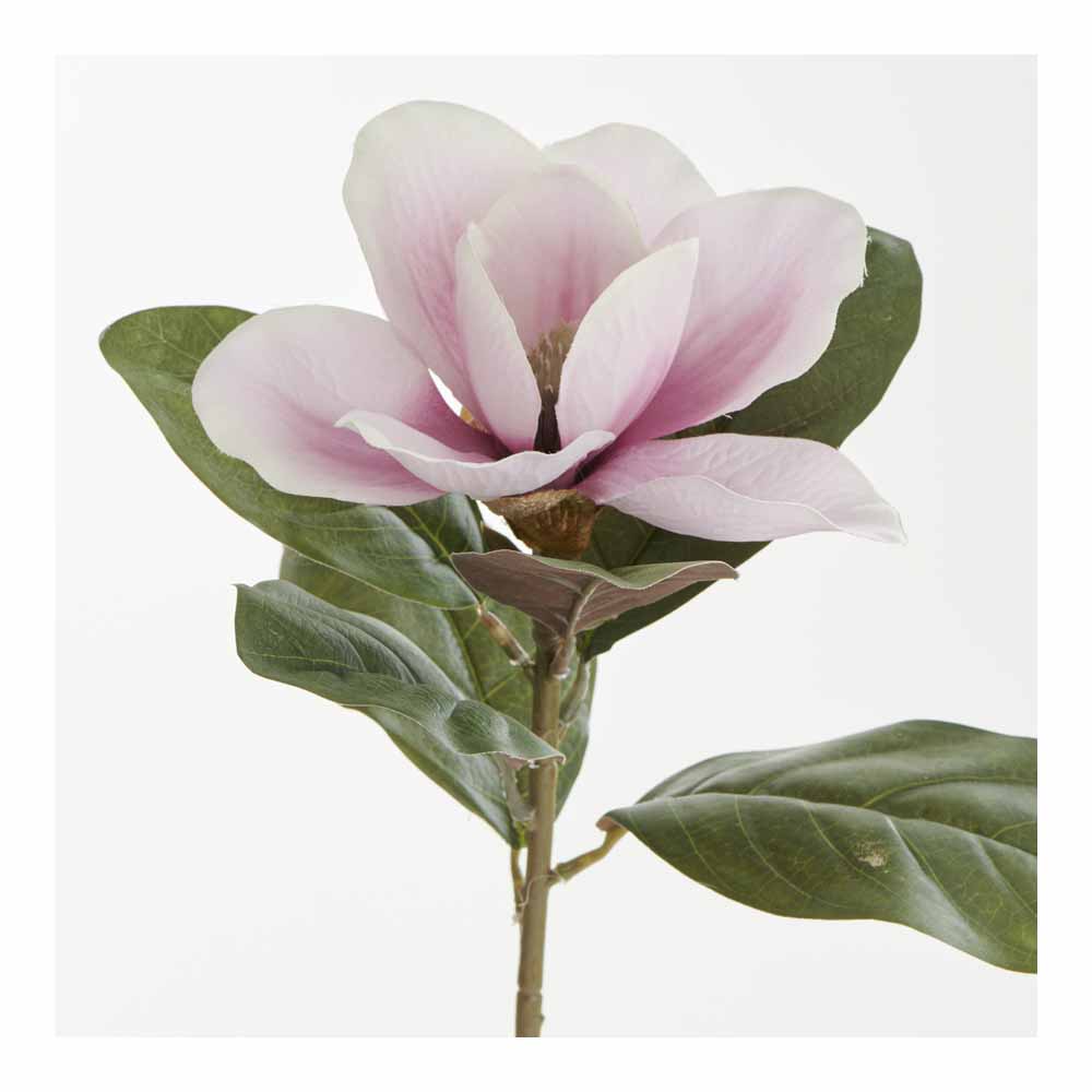Wilko Magnolia Pink Single Stem Wilko