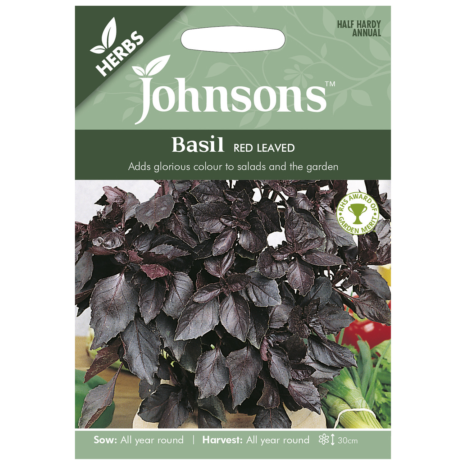 Johnsons Pack of Red Leaved Basil Seeds Image
