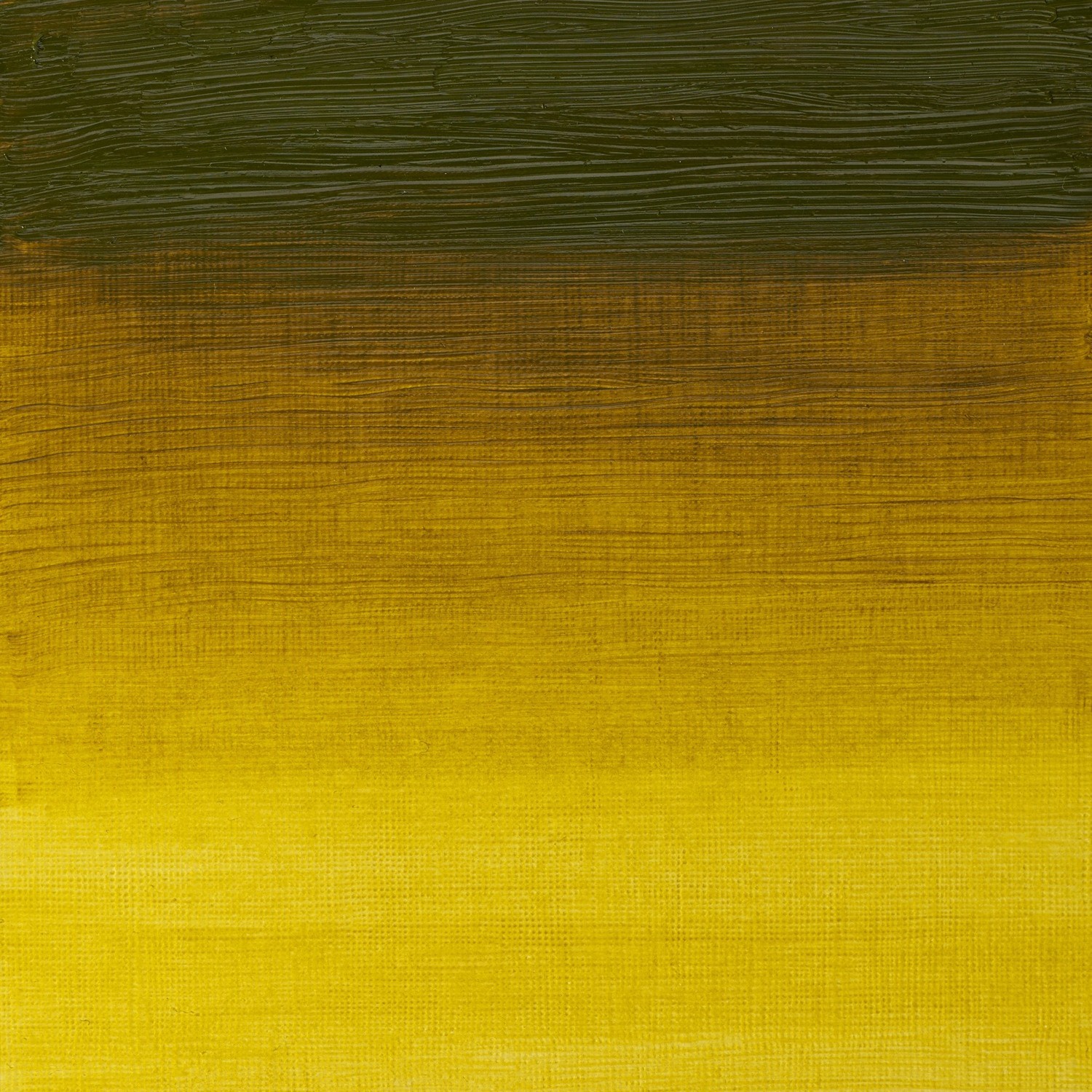 Winsor and Newton 37ml Artists' Oil Colours - Green Gold Image 2
